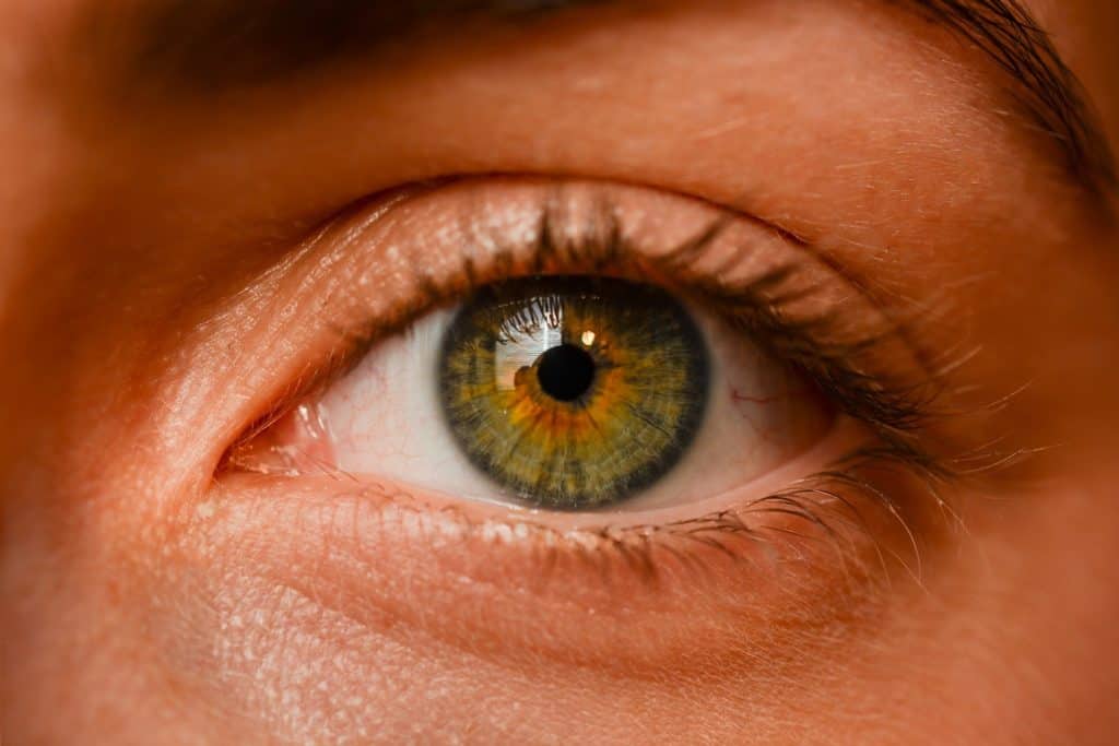 Visual Discomfort | Lesley Cree Opticians